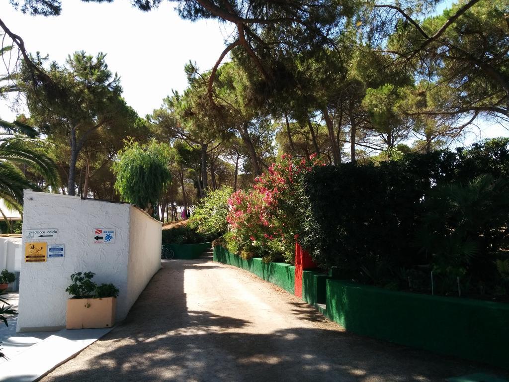 Campeggio La Mariposa Alghero Ngoại thất bức ảnh